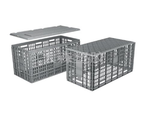 DSX11055-55C-轴测图.png
